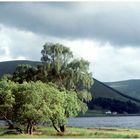 St. Mary`s Loch