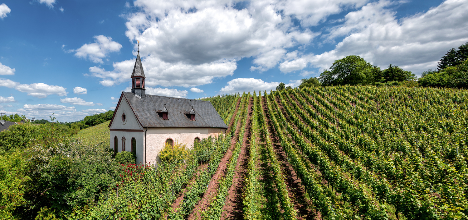 St. Mattheiser – Weinberg in Trier