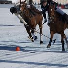 St. Moritz (Polo1)