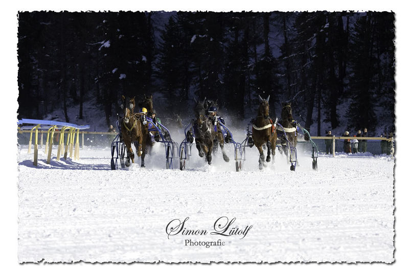 St. Moritz - White Turf 2007