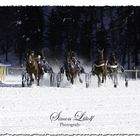 St. Moritz - White Turf 2007