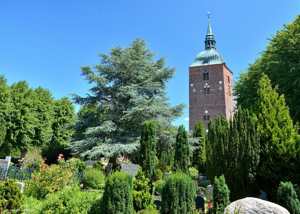 St. Nikolai in Burg auf Fehmarn (1)