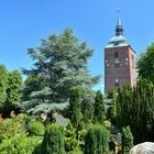 St. Nikolai in Burg auf Fehmarn (1)