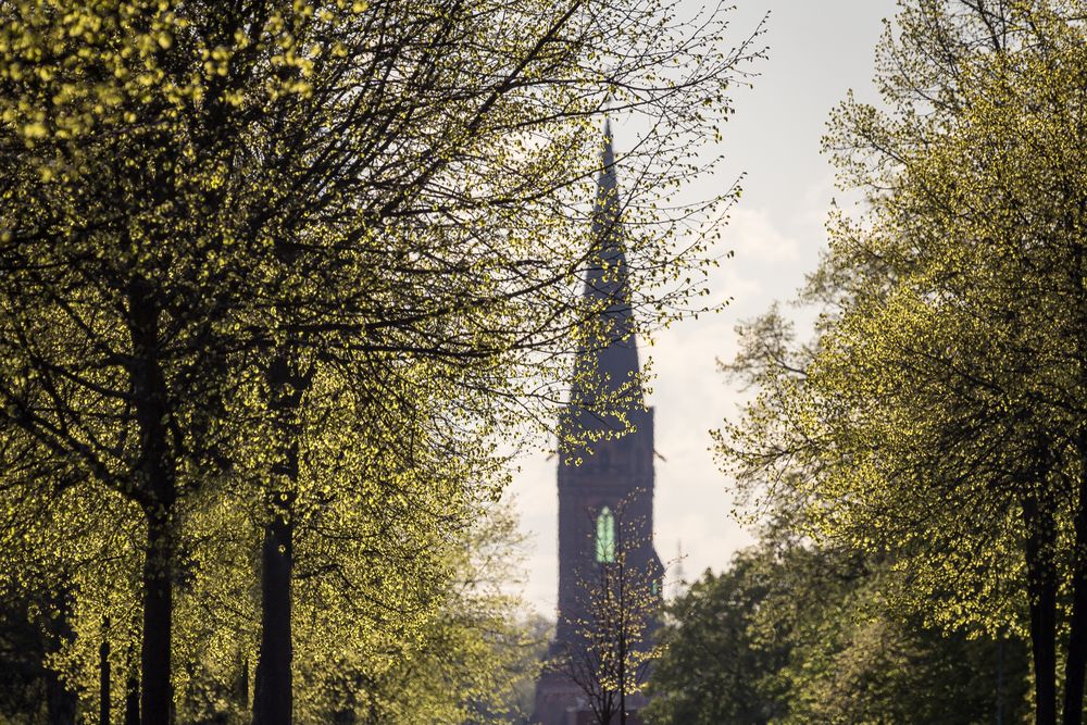 St. Nikolai Lüneburg