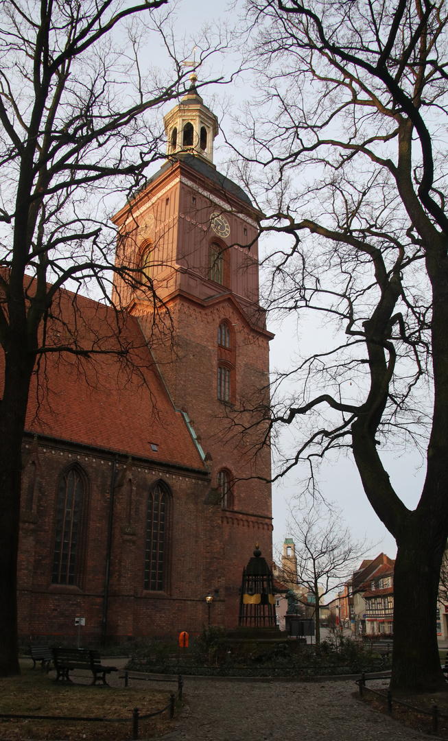 St. Nikolai Spandau im Frühling