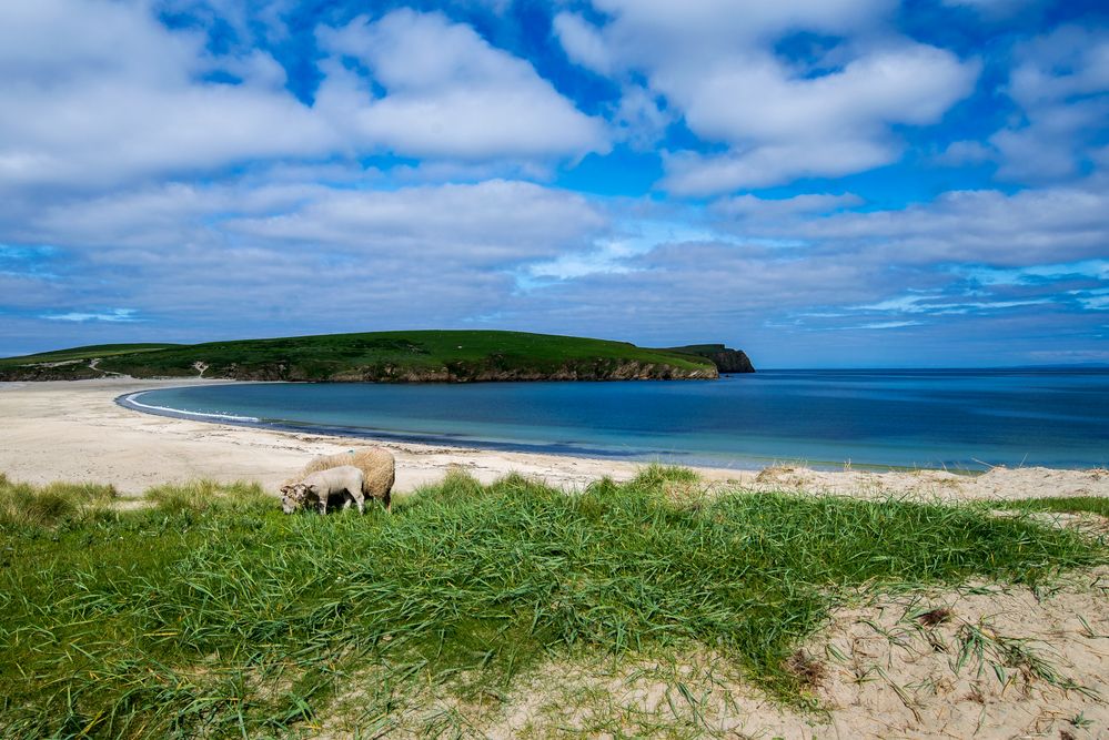 St. Ninian`s Island