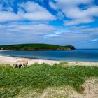 St. Ninian`s Island