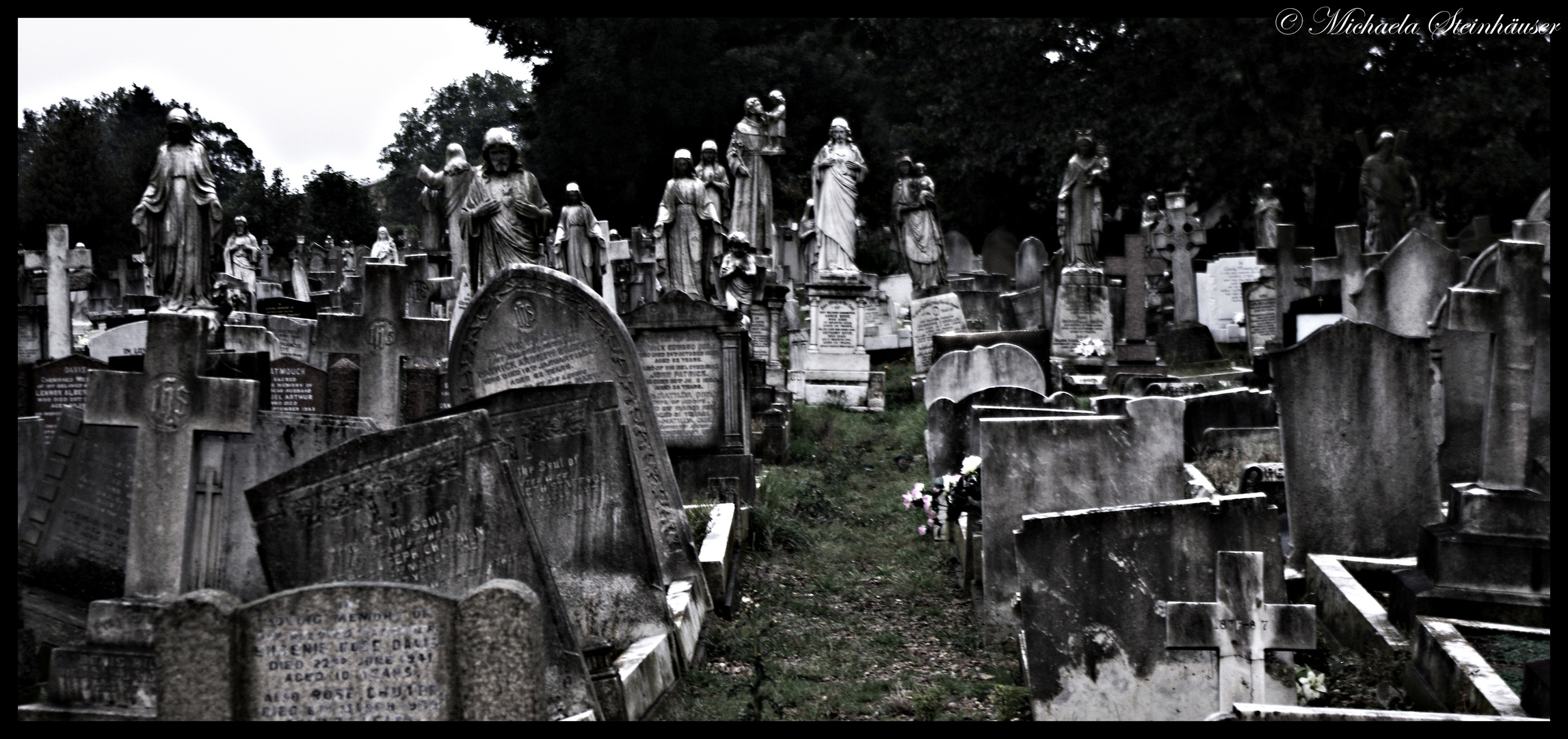 St Patrick's Cemetery - London 1