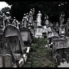 St Patrick's Cemetery - London 1