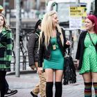 St. Patrick´s Daysies