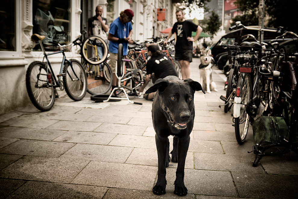 St. Pauli ist nicht nur die Reeperbahn