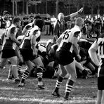 St. Pauli Rugby Herren 17