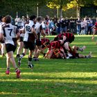 St. Pauli Rugby Herren 19