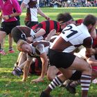 St. Pauli Rugby Herren 21