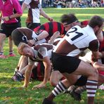 St. Pauli Rugby Herren 21