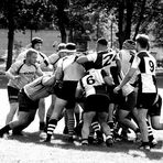 St. Pauli Rugby Herren 5