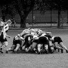 St. Pauli Rugby Herren 7