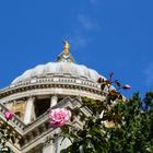 St. Pauls Cathedral