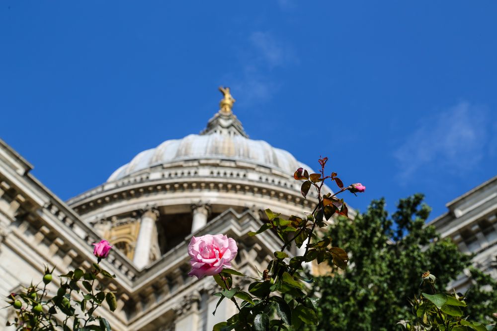 St. Pauls Cathedral