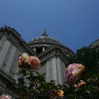 St. Paul's Cathedral, London