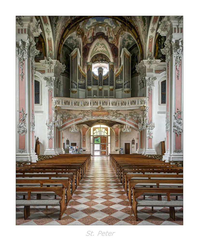 St. Peter (Mainz) " Blick zur Orgel ..."