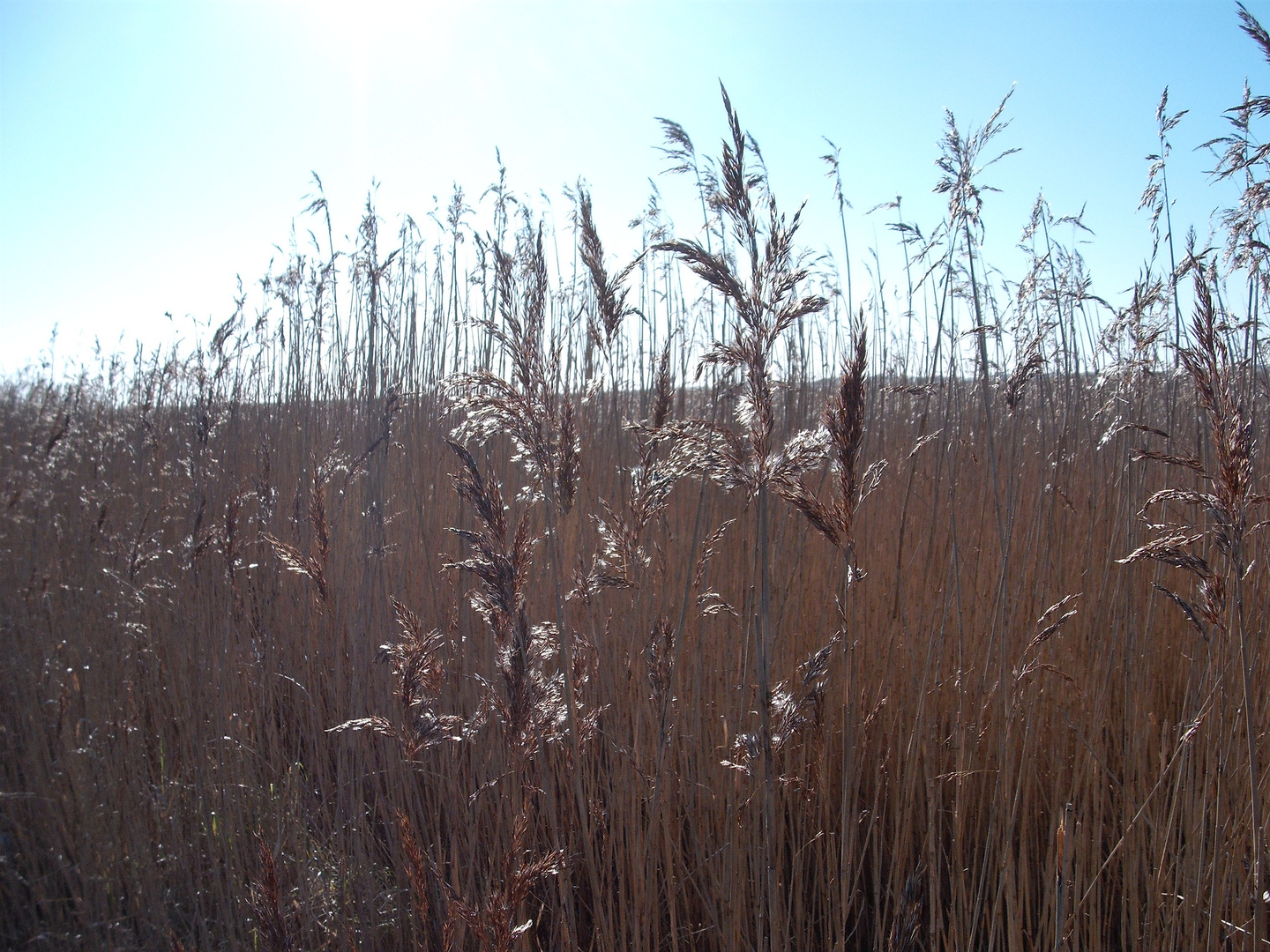 St. Peter-Ording 1