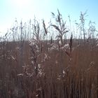 St. Peter-Ording 1