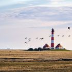 St. Peter-Ording #16 (Westerheversand)