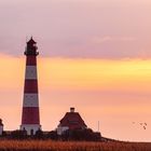 St. Peter-Ording #17 (Westerheversand Sonnenuntergang)