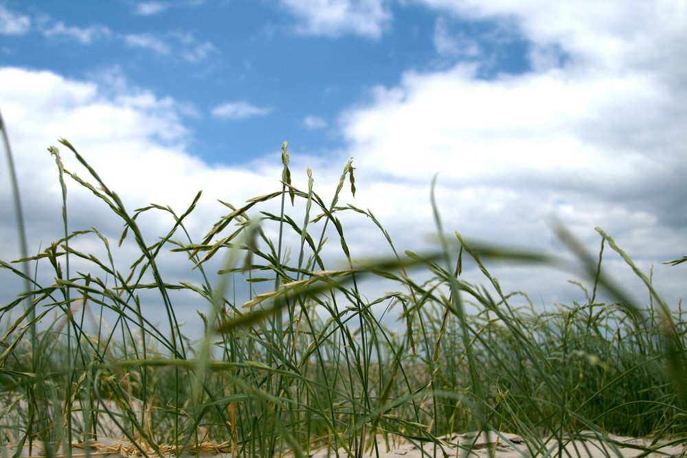 St.-Peter Ording