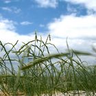 St.-Peter Ording