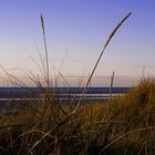 St. Peter-Ording 2007 IV