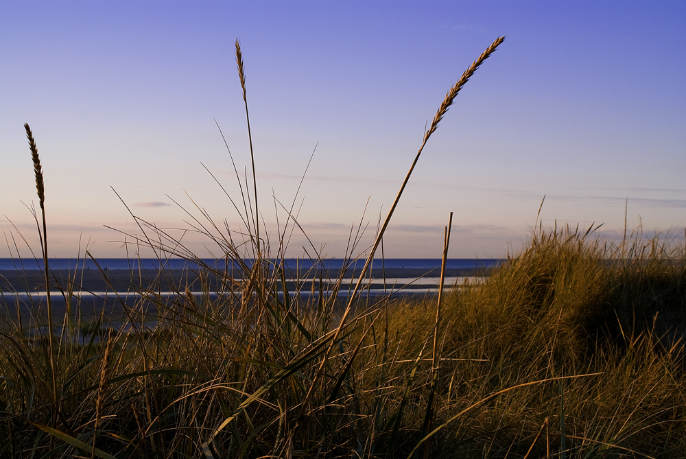 St. Peter-Ording 2007 IV