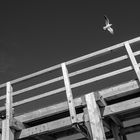 St. Peter Ording 4