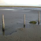 St. Peter Ording 4