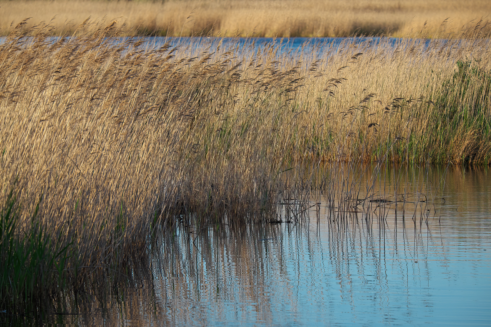 St. Peter Ording