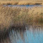 St. Peter Ording