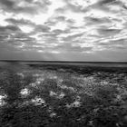 St. Peter Ording