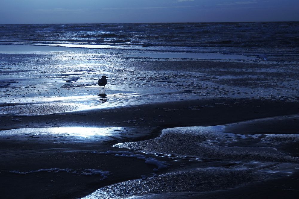 St Peter Ording am Nachmittag IV