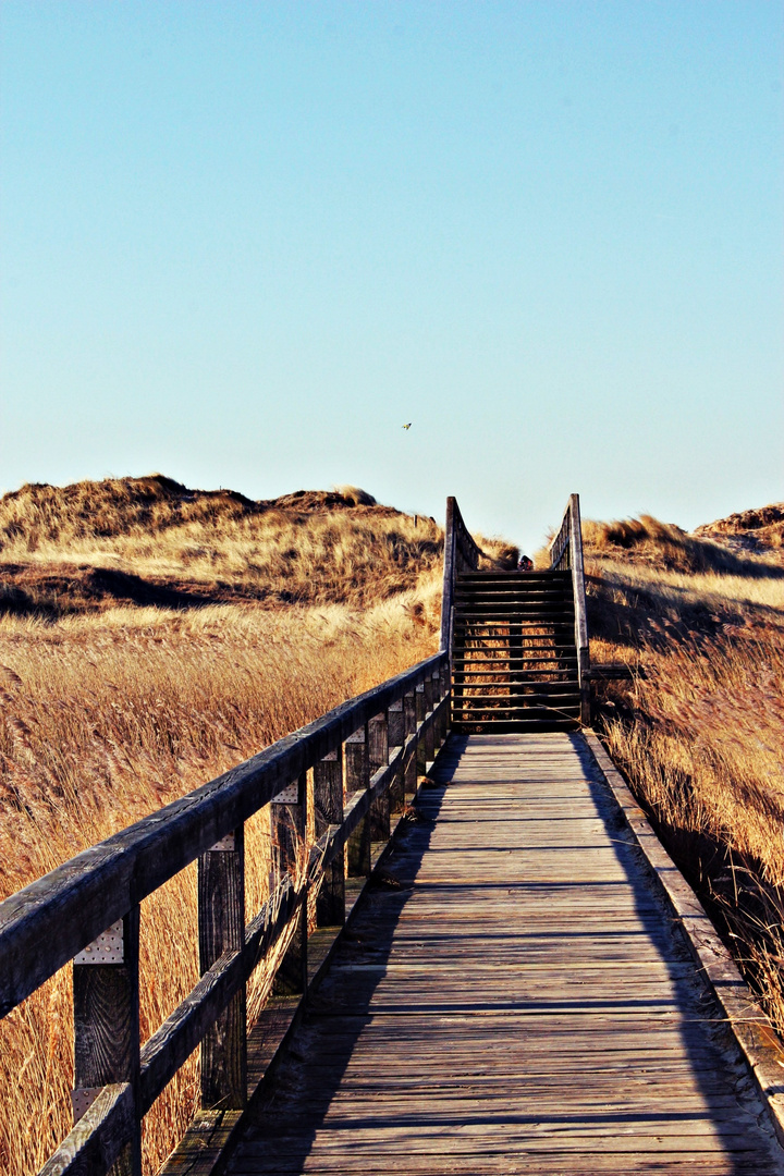 St. Peter-Ording