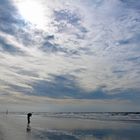 St. Peter Ording, der Muschelsucher