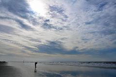 St. Peter Ording, der Muschelsucher