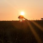 St. Peter Ording