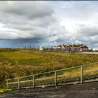 St. Peter Ording / Eiderstedt (1)