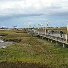 St. Peter Ording / Eiderstedt (2)