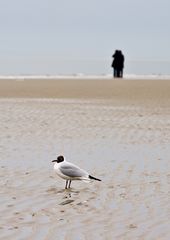 St. Peter-Ording