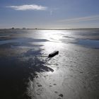 St. Peter Ording, Strandgut