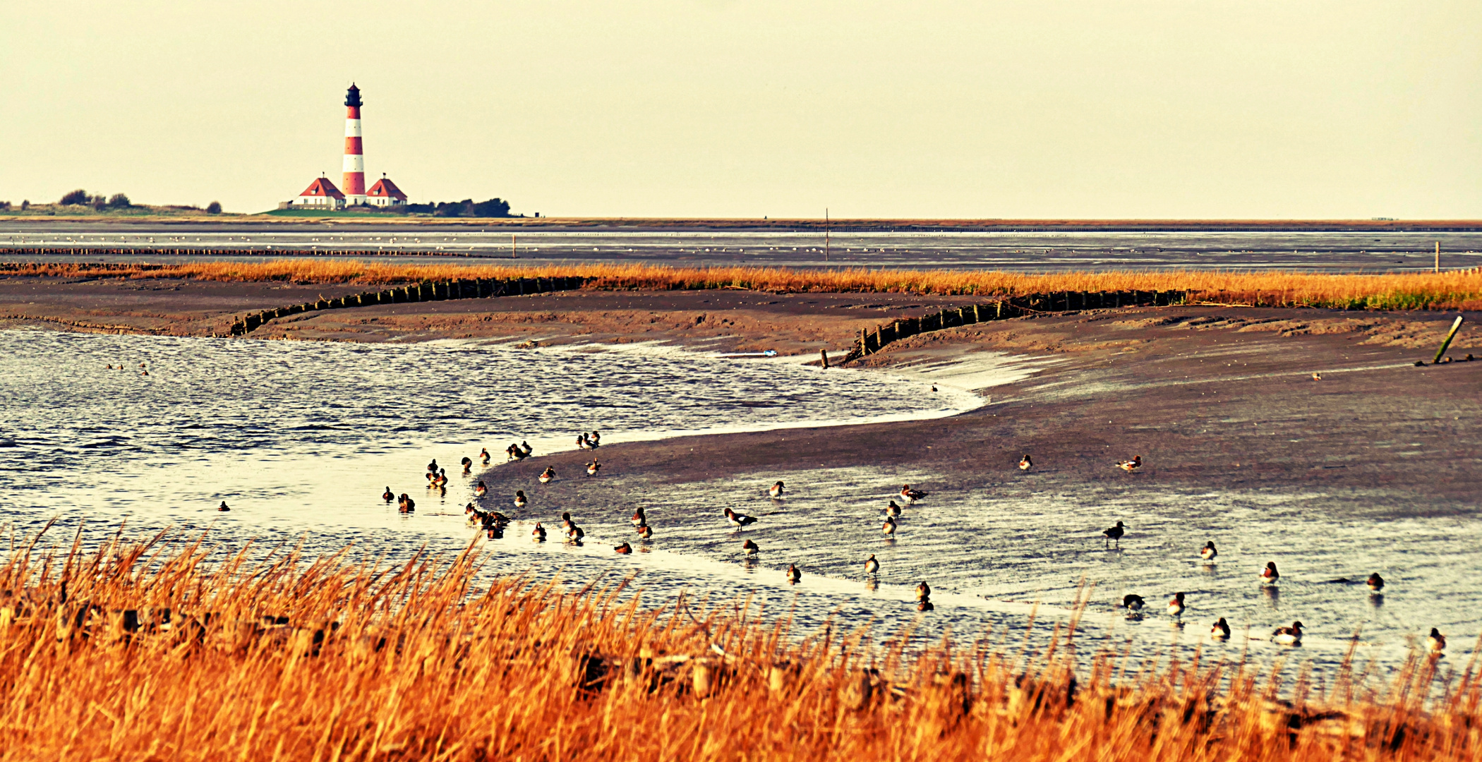 St. Peter Ording und Umgebung