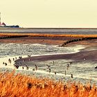 St. Peter Ording und Umgebung