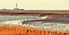 St. Peter Ording und Umgebung